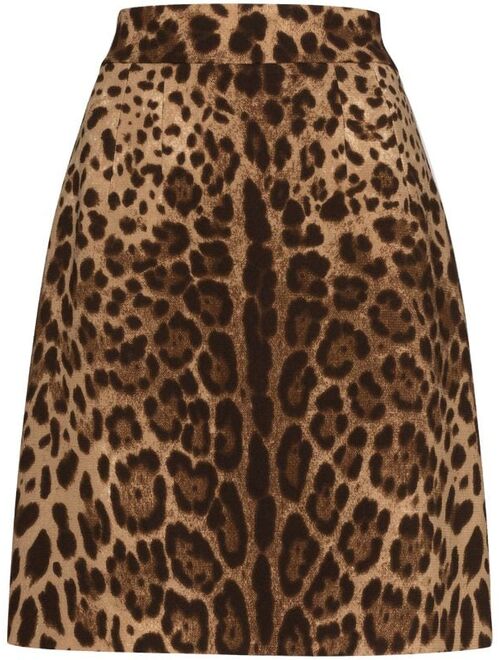 Dolce & Gabbana leopard-print A-line skirt