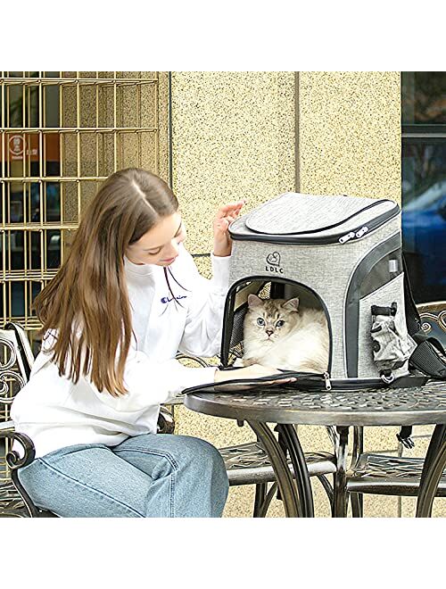 Plaifey Pet Cat Dog Carrier Large Backpack for Small Cats and Dogs, Foldable Ventilated Design Breathable Cat Backpack Suitable for Hiking Travel Camping Outdoor Use