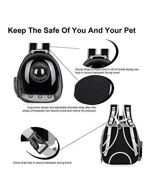 AJY Pet Clear Cat Backpack Carrier Foldable Breathable Pet Rucksack Carrier for Puppy Dog Cat Lightweight Cat Backpack Designed for Travel, Hiking, Walking & Outdoor Use