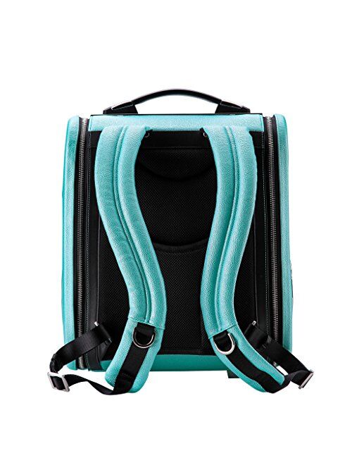 CloverPet Luxury Bubble Sporty Pet Carrier Travel Backpack for Cats Dogs Puppy