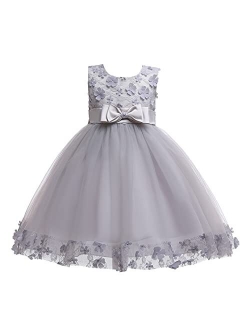 Weileenice Holiday Big/Little Girl Flower Lace A-line Wedding Party Dresses Kids Pageant Birthday Formal Dress