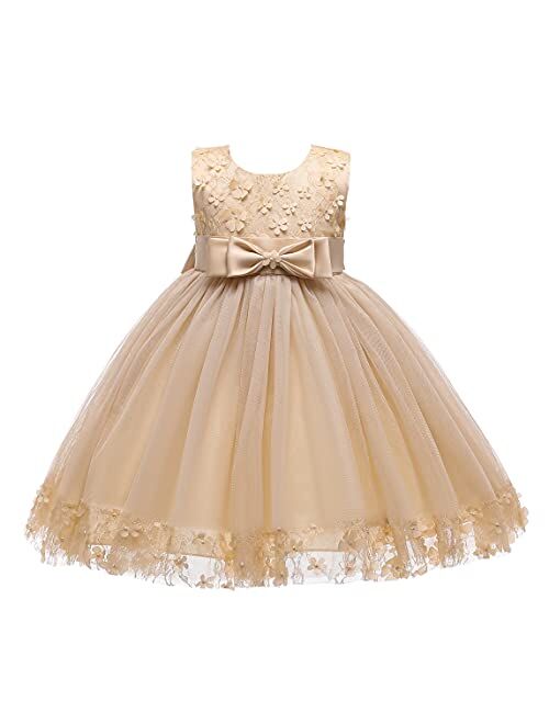 Weileenice Holiday Big/Little Girl Flower Lace A-line Wedding Party Dresses Kids Pageant Birthday Formal Dress