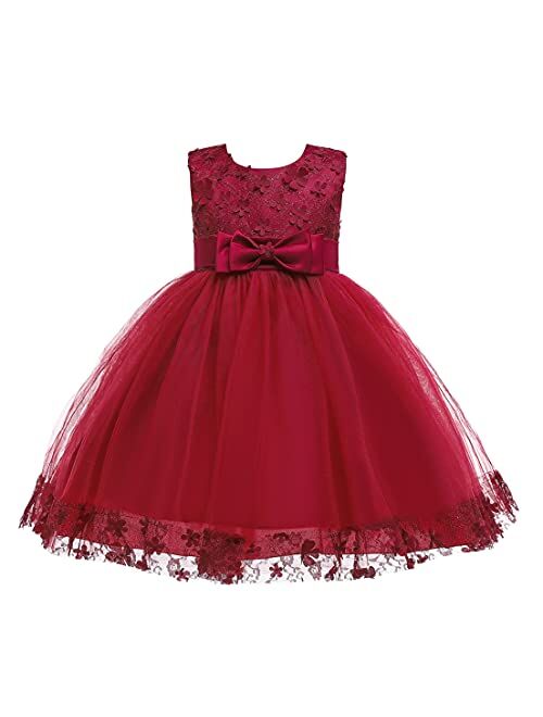 Weileenice Holiday Big/Little Girl Flower Lace A-line Wedding Party Dresses Kids Pageant Birthday Formal Dress