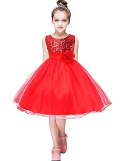 YMING Girls Flower Princess Tutu Party Dress Wedding Pageant Ball Gown