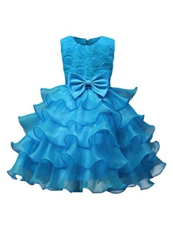 YMING Girl Ball Gown Sleeveless Ruffle Lace Pageant Wedding Party Dresses Tulle Tiered Princess Tutu Gowns