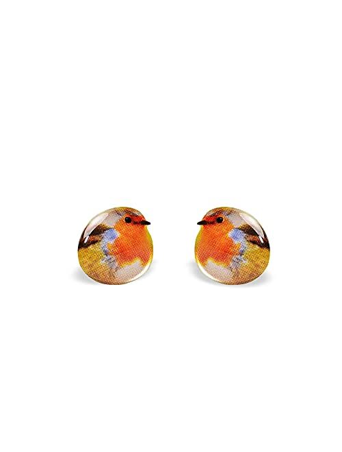 Tiny Forget Me Nots Robin Bird Earrings - Cute Bird Earrings - Birds Studs - Robin Post Earrings - Animal Earrings