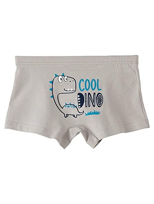 Core Pretty Boys Underwear Kids Cotton Boxer Briefs Dinosaur Training Boyshorts for Toddler Size 3-12 Years (Pack of 5)