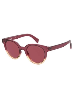 Lv 1009/S Oval Sunglasses