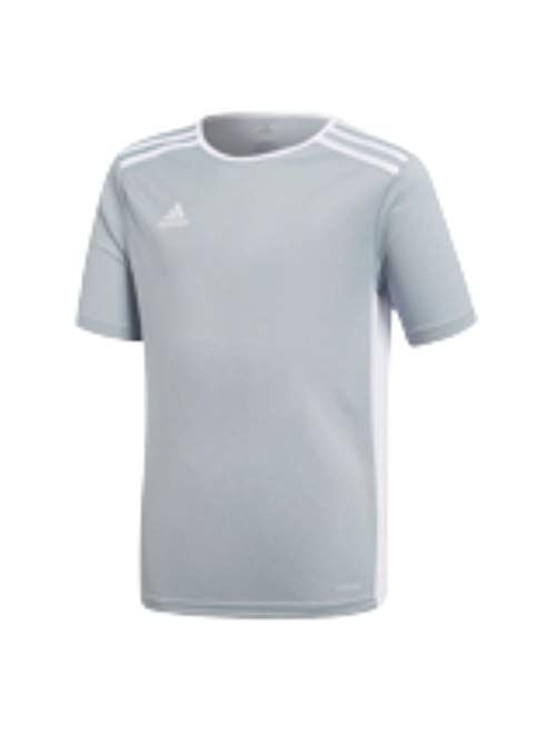 adidas Boy's Entrada 18 Youth Jersey