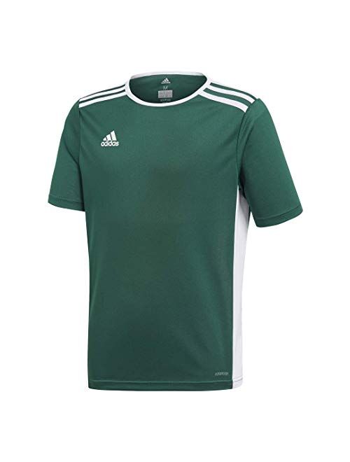 adidas Boy's Entrada 18 Youth Jersey