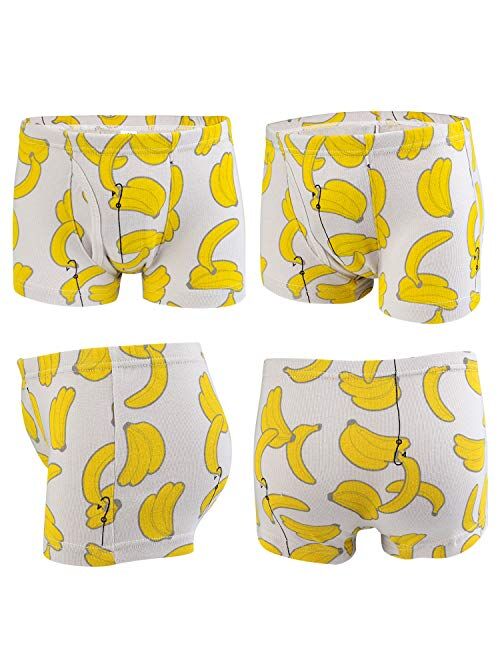 Auranso Toddler Boys Cotton Boxer Briefs Underwear Dinosaur Car 6 Pack 2-11Y