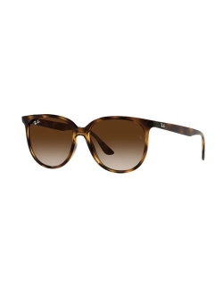 RB4378 54 mm Gradient Wayfarer Sunglasses