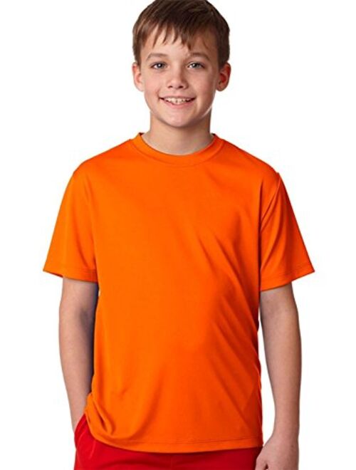 Hanes Boys Cool DRI Youth Moisture Wicking  T-Shirt(482Y)