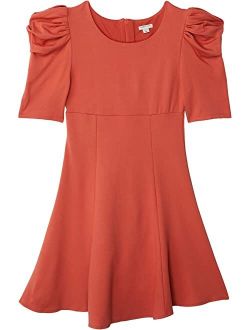 Puff Sleeve Flounce Dress (Big Kids)