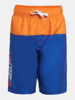 Boys' UA Colorblock Volley Shorts