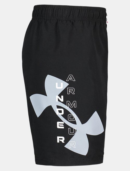 Under Armour Boys' Pre-School UA Velocity Volley Shorts