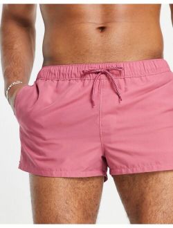 swim shorts in berry pink super short length