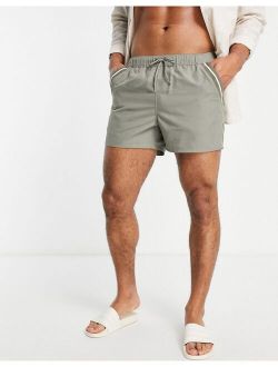 swim shorts in khaki with tipping