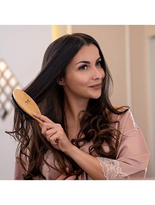 Belula Boar Bristle Hair Brush - Hair Brushes for Women & Mens Hair Brush, Detangler Brush, Hairbrush, Detangling Brush for Long, Curly or Any Type of Hair.