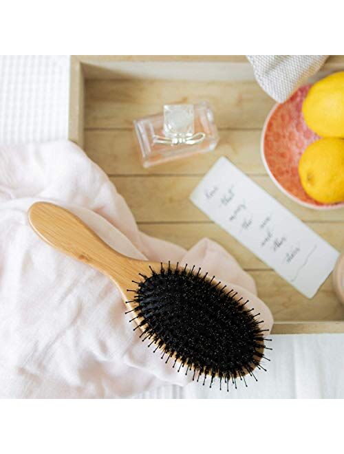 Belula Boar Bristle Hair Brush - Hair Brushes for Women & Mens Hair Brush, Detangler Brush, Hairbrush, Detangling Brush for Long, Curly or Any Type of Hair.