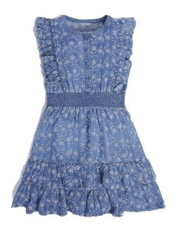 Big Girls Chambray Eyelet Flutter Sleeves Dress