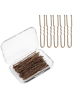 AIEX 200pcs Hair Pins Kit Hair Clips Secure Hold Bobby Pins Hair Clips for Women Girls and Hairdressing Salon