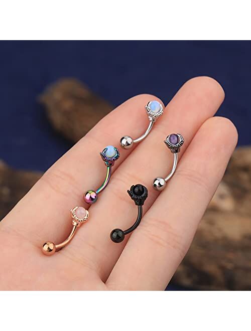 OUFER Rook Earrings Dragon Claw Eyebrow Rings 316L Surgical Steel 16G Curved Barbell Rook Daith Piercing Jewelry