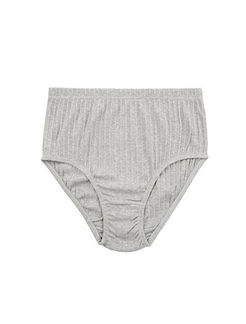 Knitlord Women's Plus Size Underwear Cotton 6 Pack High Waisted Briefs Panties