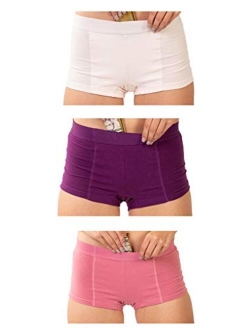 Stashitware 3 Pack Women's Secret Pocket Underwear Boy Brief Cotton Spandex