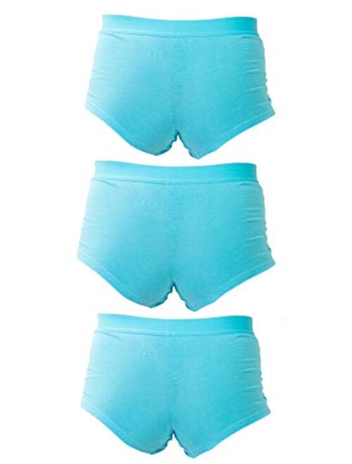 Stashitware 3 Pack Women's Secret Pocket Underwear Boy Brief Cotton Spandex