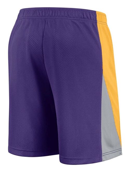 Nike Men's Purple Minnesota Vikings Broadcast Shorts