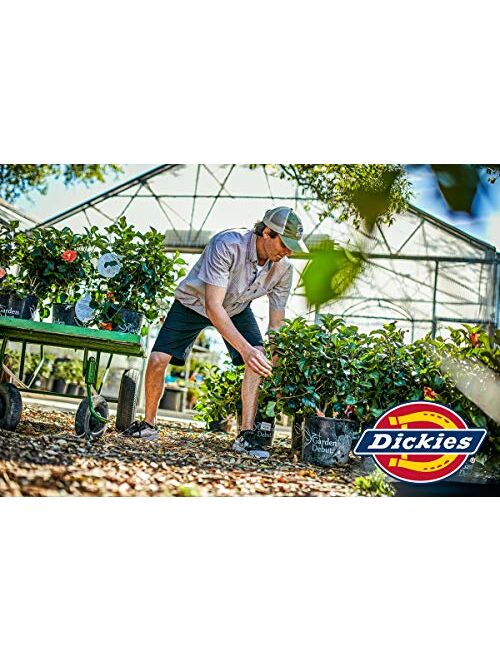 Dickies Men's Dri-tech Moisture Control No Show Socks (6 & 12 Pairs)