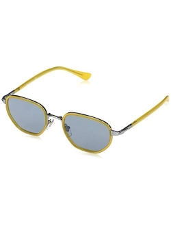 Po2471s Panto Sunglasses