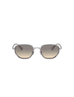 Po2471s Panto Sunglasses