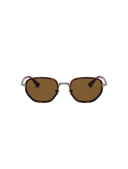 Po2471s Panto Sunglasses