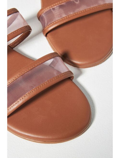 Buy TKEES Viv Slide Sandals online | Topofstyle