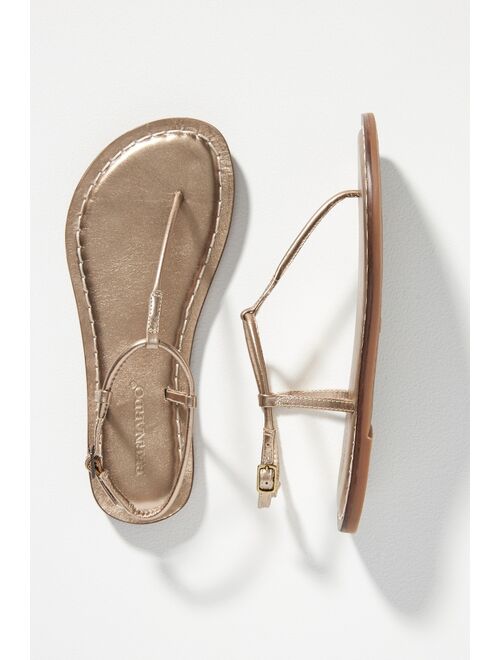 Bernardo Lilly Sandals