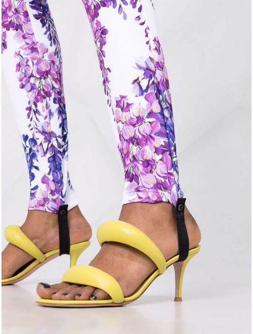 Dolce & Gabbana floral print stirrup leggings