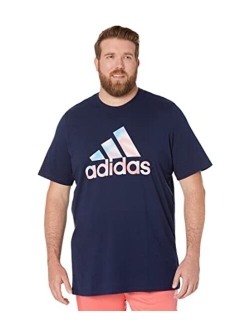 Americana Badge of Sport Tee - Tall