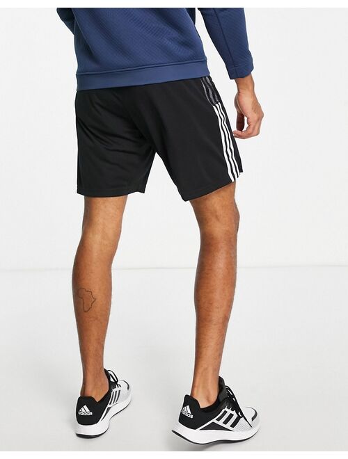 adidas performance adidas Soccer Tiro 21 shorts in black