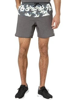 Yogger Hybrid Shorts