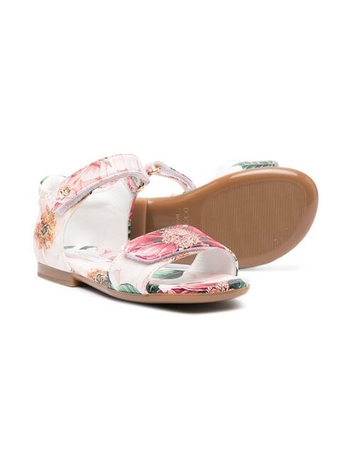 Dolce & Gabbana Kids floral-print touch-strap sandals