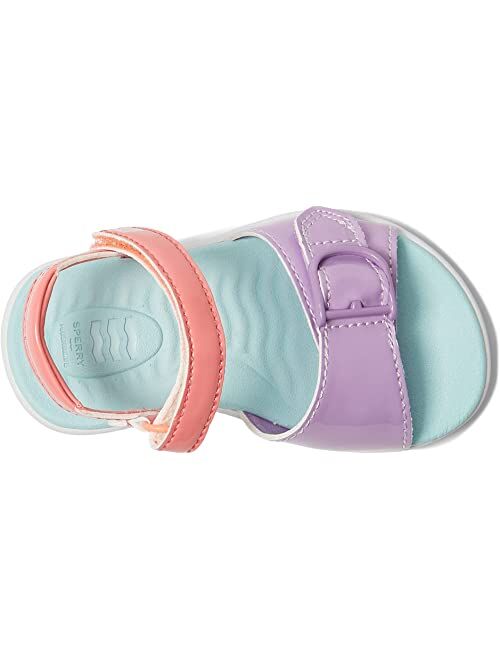 Sperry Kids Galley Plushwave (Toddler)