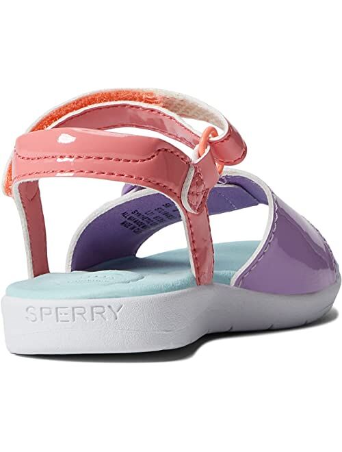 Sperry Kids Galley Plushwave (Toddler)