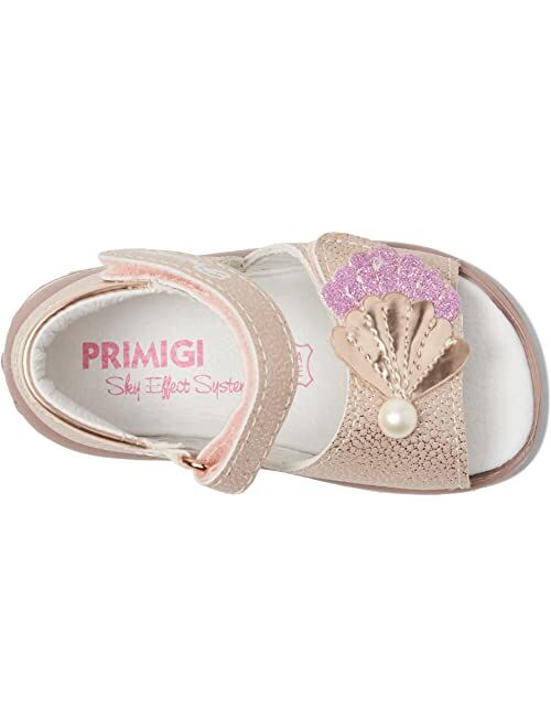 Primigi Kids 18627 (Toddler)