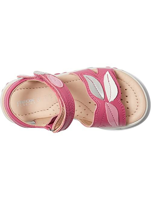 Geox Kids Haiti Sandal 19 (Toddler/Little Kid/Big Kid)