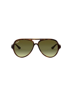 RB4125 Cats 5000 Aviator Sunglasses