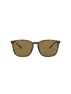 Rb4387 Square Sunglasses