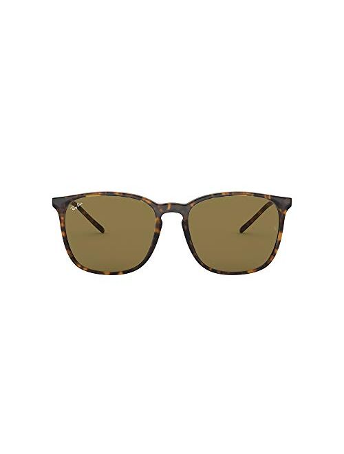 Ray-Ban Rb4387 Square Sunglasses