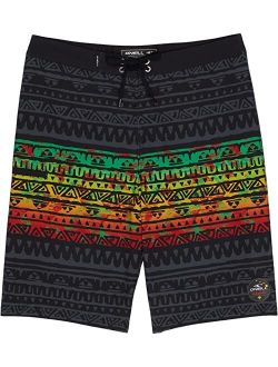 Kids Hyperfreak Haleakala Boardshorts (Big Kids)